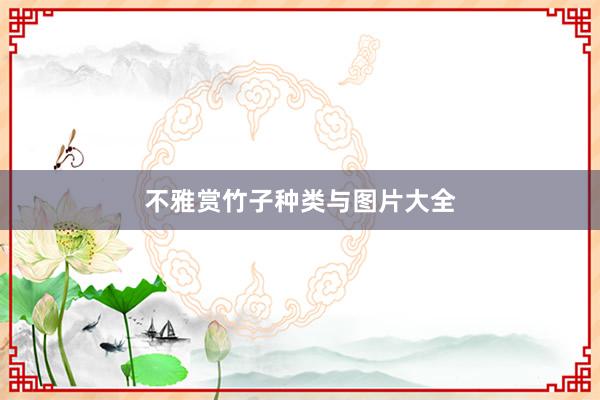 不雅赏竹子种类与图片大全